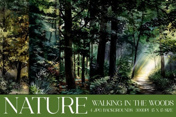 Download Walk in the Woods Nature Backgrounds, S2 - Background Collection